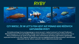 Let's Fish / Na Ryby