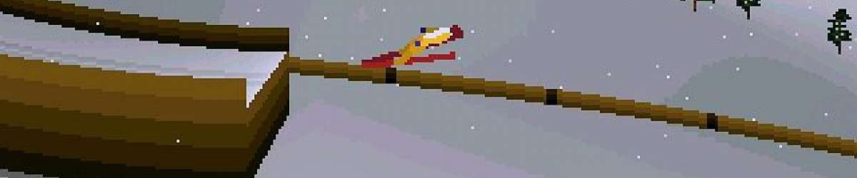 gra Deluxe Ski Jump 2 - DSJ 2