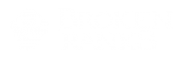 Broken Ranks logo gry png
