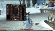EverQuest II - drugi gameplay
